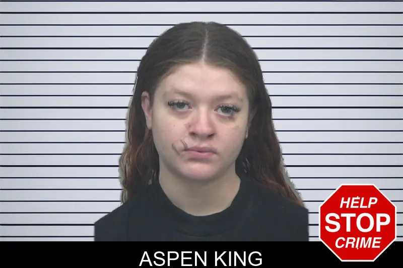 Aspen King mugshot