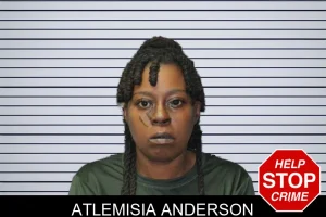 Atlemisia Anderson mugshot