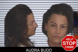 Audra Budd mugshot