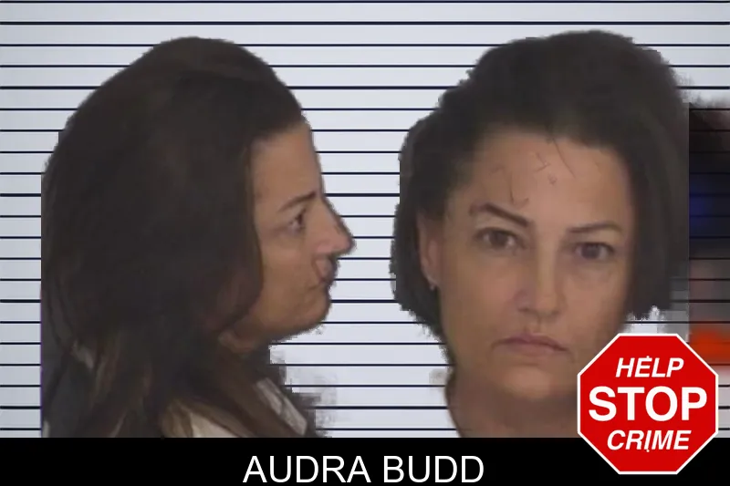 Audra Budd mugshot