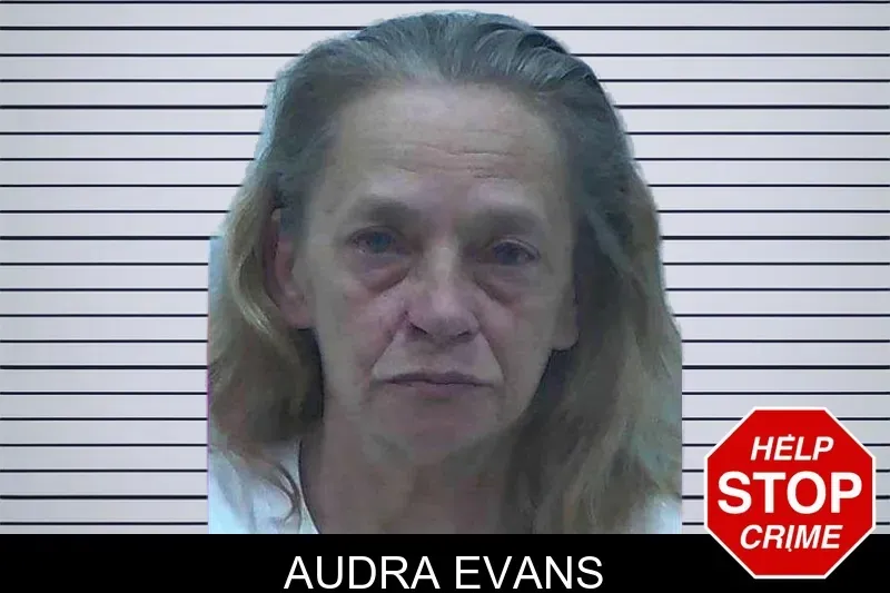 Audra Evans mugshot