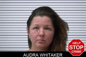 Audra Whitaker mugshot