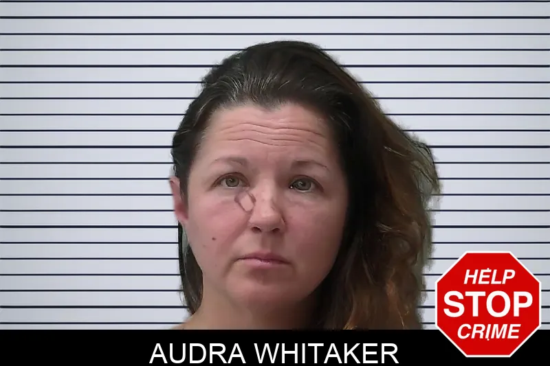 Audra Whitaker mugshot