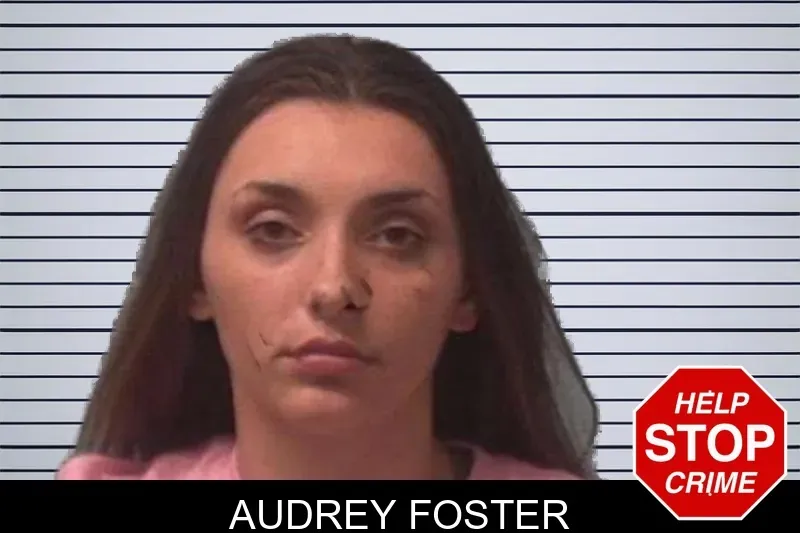 Audrey Foster mugshot