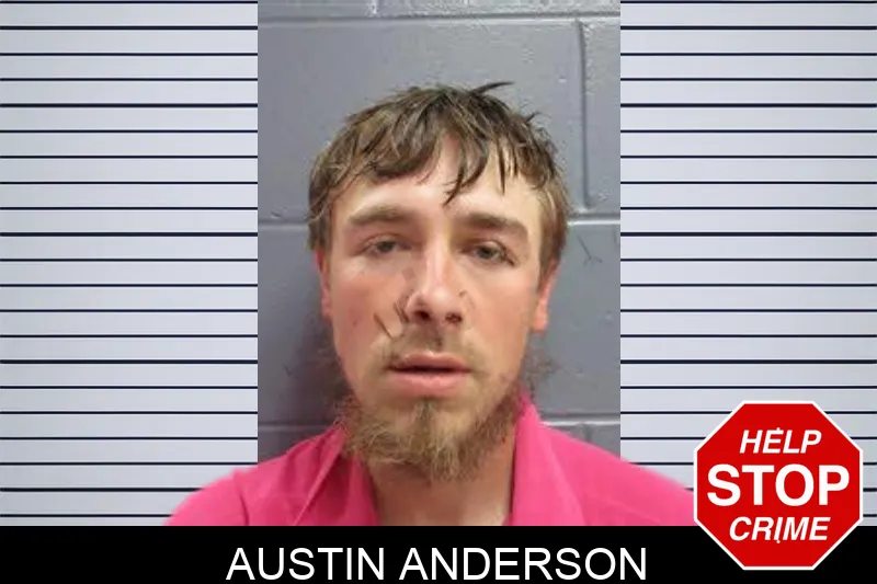 Austin Anderson mugshot