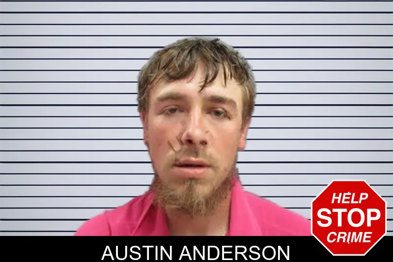 Austin Anderson mugshot