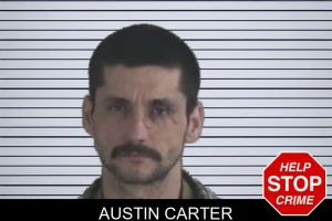 Austin Carter mugshot