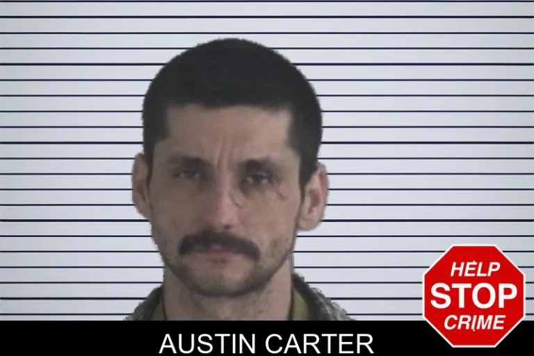 Austin Carter mugshot – Brantley County , Georgia Austin Carter