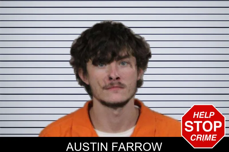 Austin Farrow mugshot – Lamar County , Georgia Austin Farrow mugshot