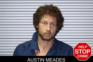 Austin Meades mugshot