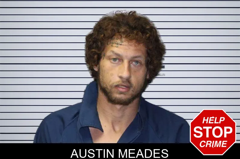 Austin Meades mugshot – Thomas County , Georgia Austin Meades mugshot