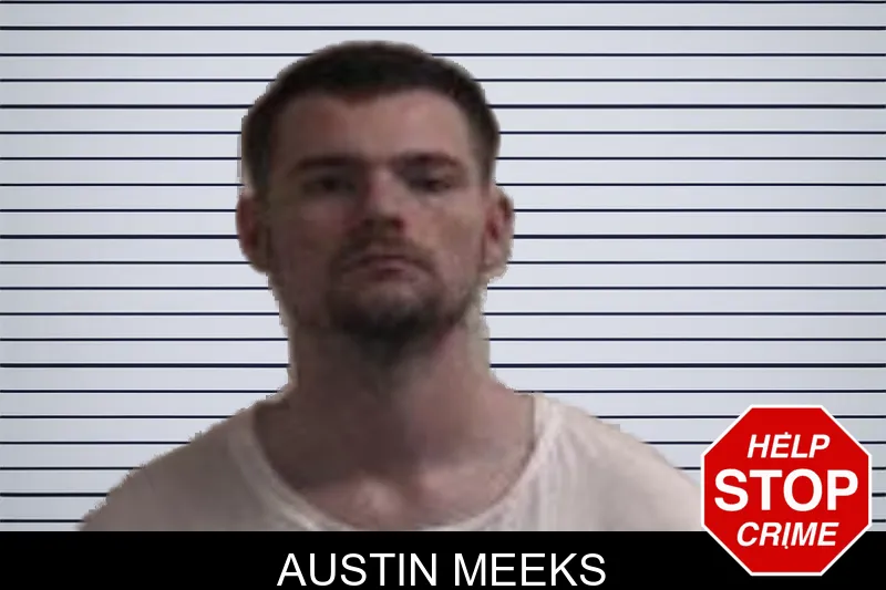 Austin Meeks mugshot