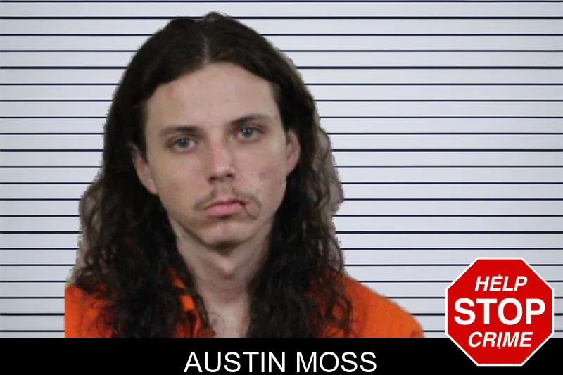 Austin Moss mugshot – Lamar County , Georgia Austin Moss mugshot