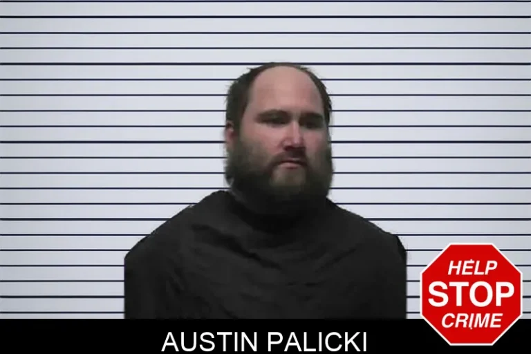 Austin Palicki mugshot – Pike County , Georgia Austin Palicki