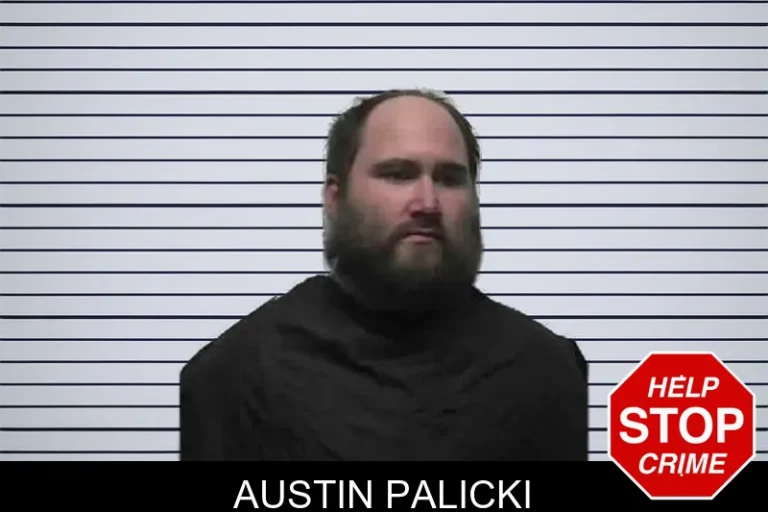 Austin Palicki