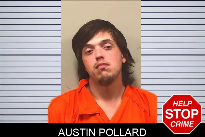 Austin Pollard mugshot