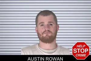 Austin Rowan mugshot