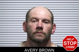 Avery Brown mugshot