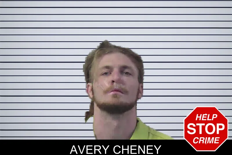 Avery Cheney mugshot