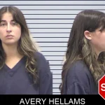 Avery Hellams mugshot
