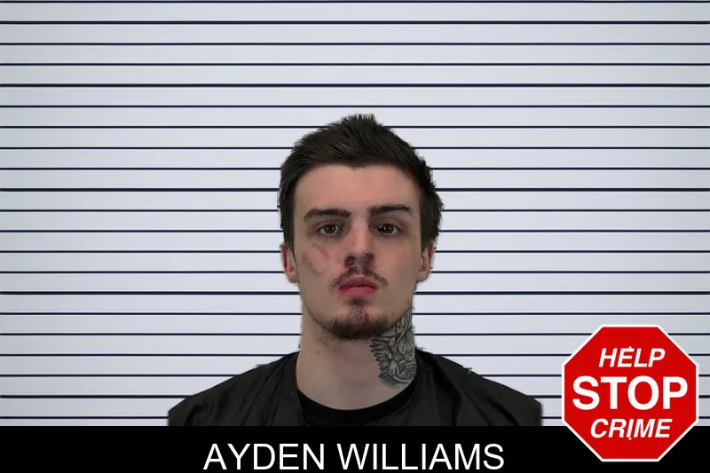 Ayden Williams mugshot