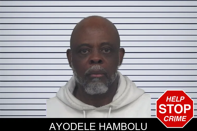 Ayodele Hambolu mugshot – Gwinnett County , Georgia Ayodele Hambolu mugshot