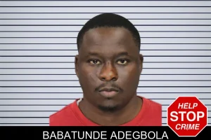 Babatunde Adegbola mugshot