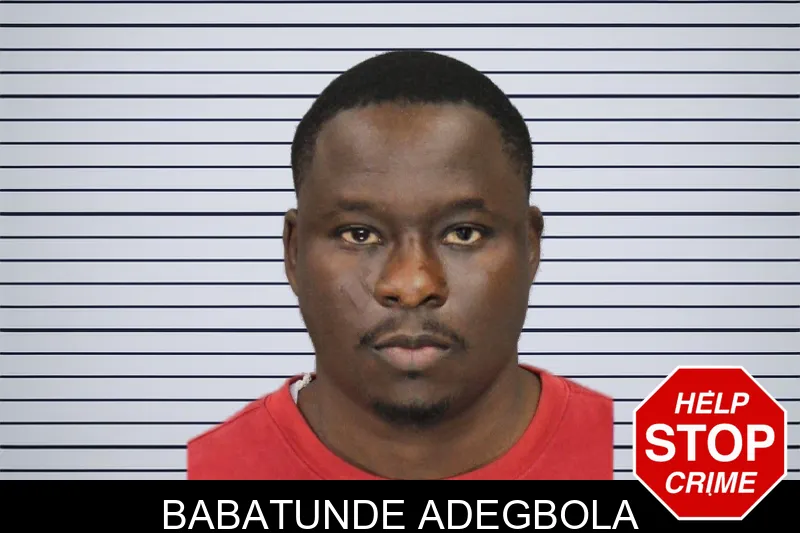 Babatunde Adegbola mugshot
