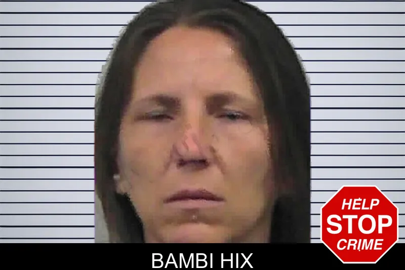 Bambi Hix mugshot