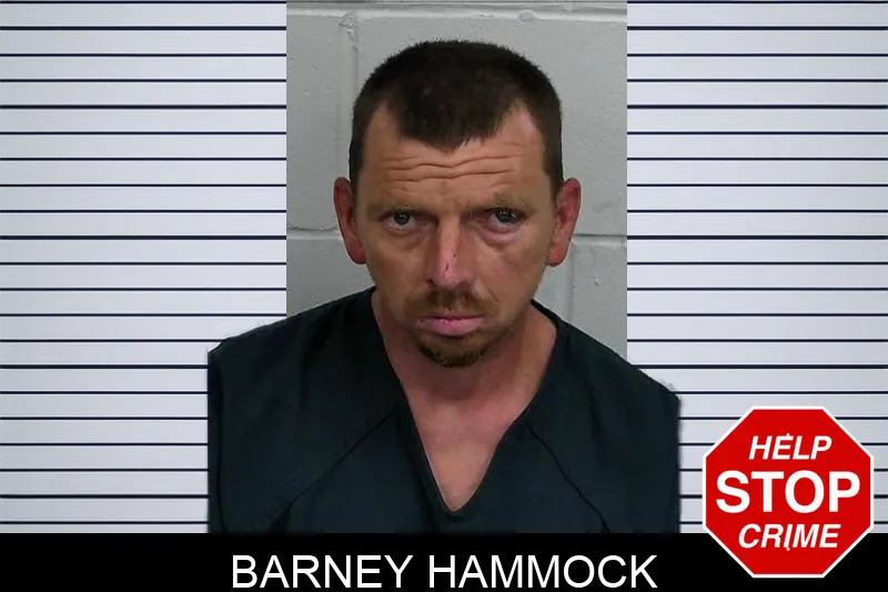 Barney Hammock mugshot – Jeff Davis County , Georgia Barney Hammock mugshot
