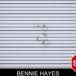 Bennie Hayes mugshot