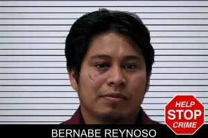 Bernabe Reynoso mugshot