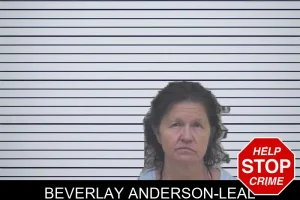 Beverlay Anderson-Leal mugshot