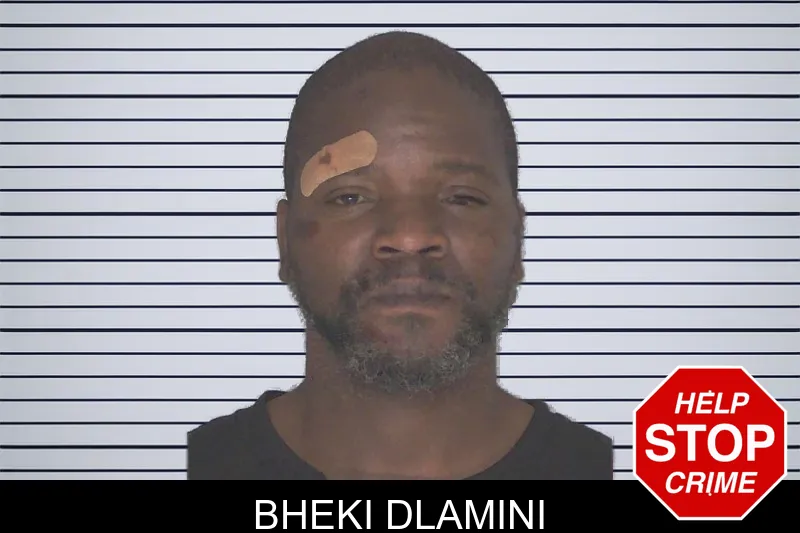 Bheki Dlamini mugshot