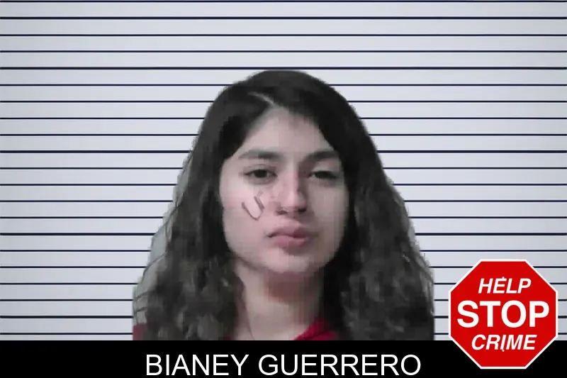 Bianey Guerrero mugshot