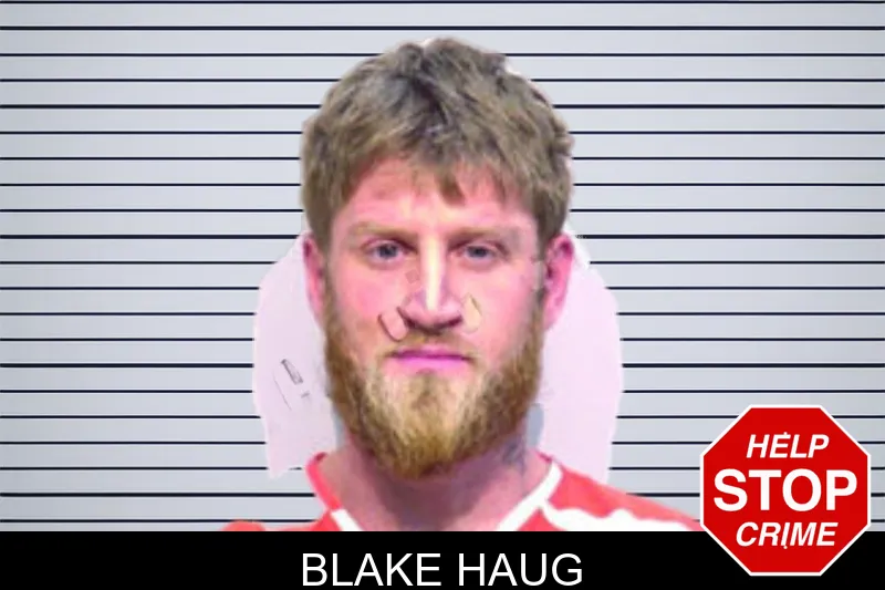Blake Haug mugshot