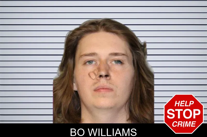 Bo Williams mugshot – Hall County , Georgia Bo Williams mugshot