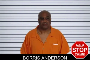 Borris Anderson mugshot