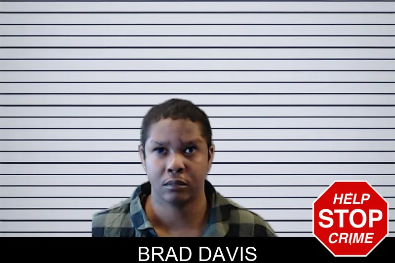 Brad Davis mugshot