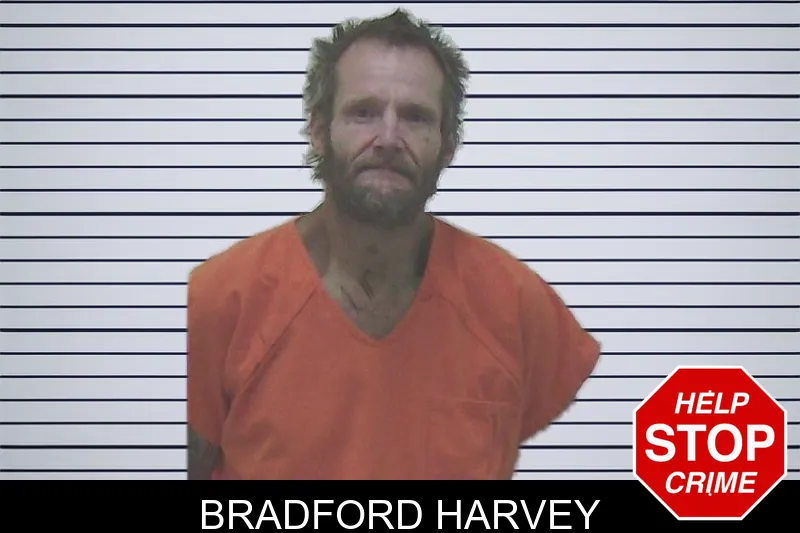 Bradford Harvey mugshot
