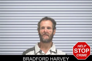 Bradford Harvey mugshot