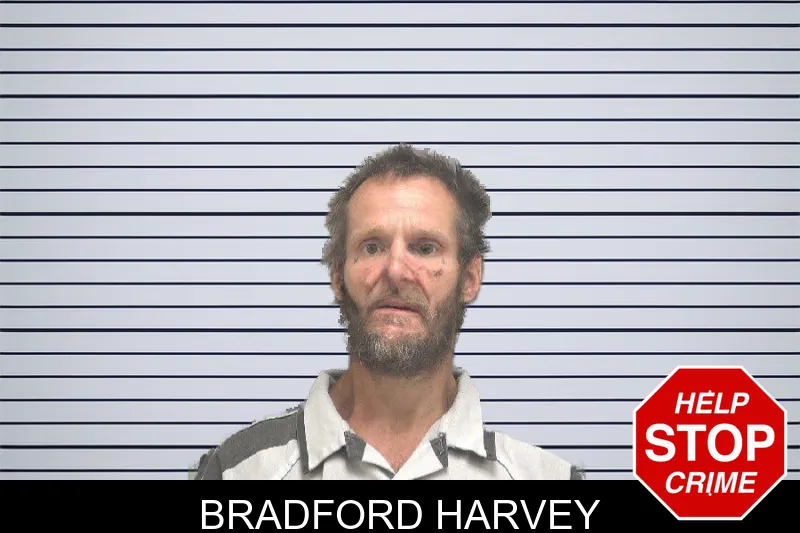Bradford Harvey mugshot