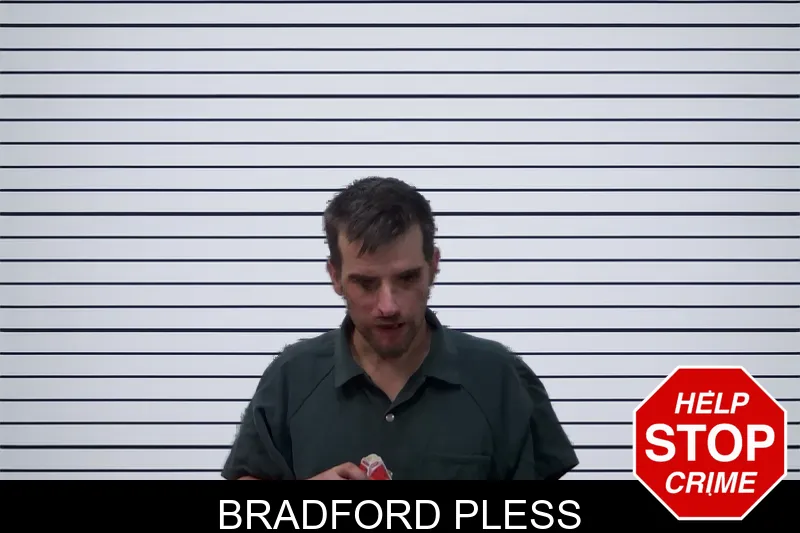 Bradford Pless mugshot