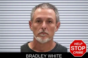Bradley White mugshot