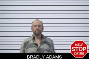 Bradly Adams mugshot