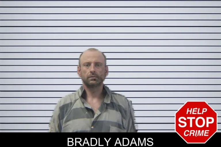 Bradly Adams