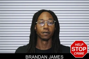 Brandan James mugshot