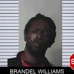 Brandel Williams mugshot