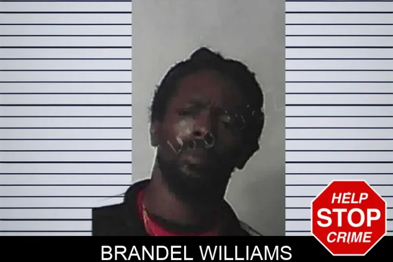 Brandel Williams mugshot – Miller County , Georgia Brandel Williams