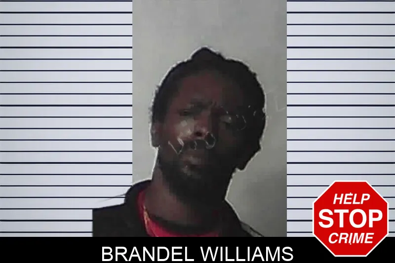 Brandel Williams mugshot